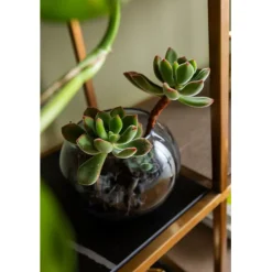 KARE Design Etagère Cesaro 90x170cm><noscript><img width=