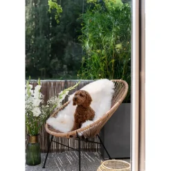 KARE Design Fauteuil Spaghetti nature><noscript><img width=