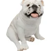 KARE Design Figurine décorative Dog Troy> Accessoires