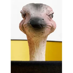 KARE Design Lampadaire Animal Ostrich 147cm><noscript><img width=