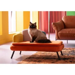 KARE Design Lit pour chien/chat Diva orange> Meubles