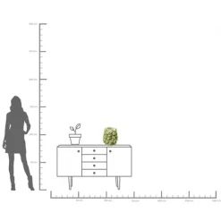 KARE Design Vase Carambola 37cm> Accessoires