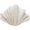 KARE Design Vase décoratif Concha 57cm> Accessoires
